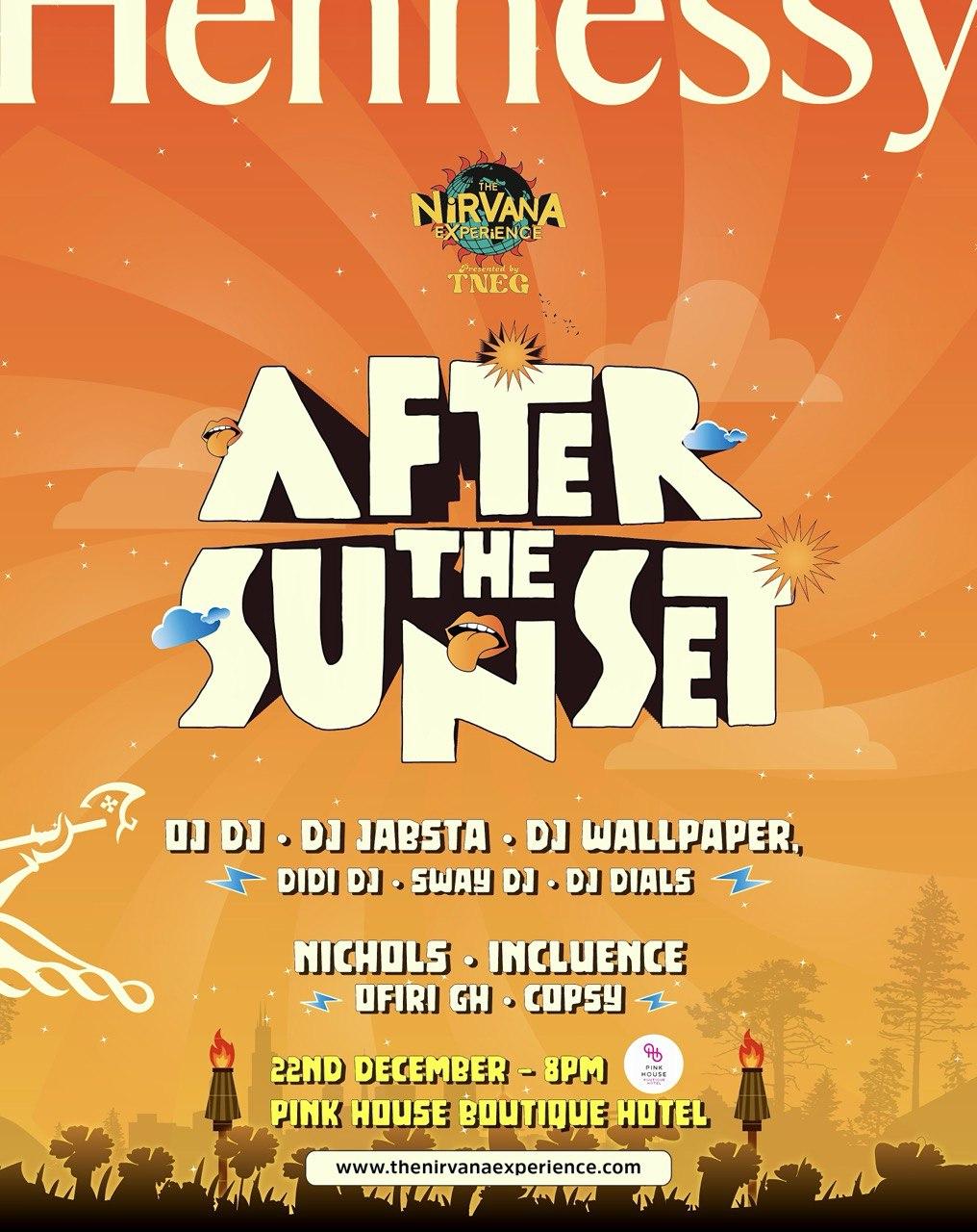 The Nirvana Experience