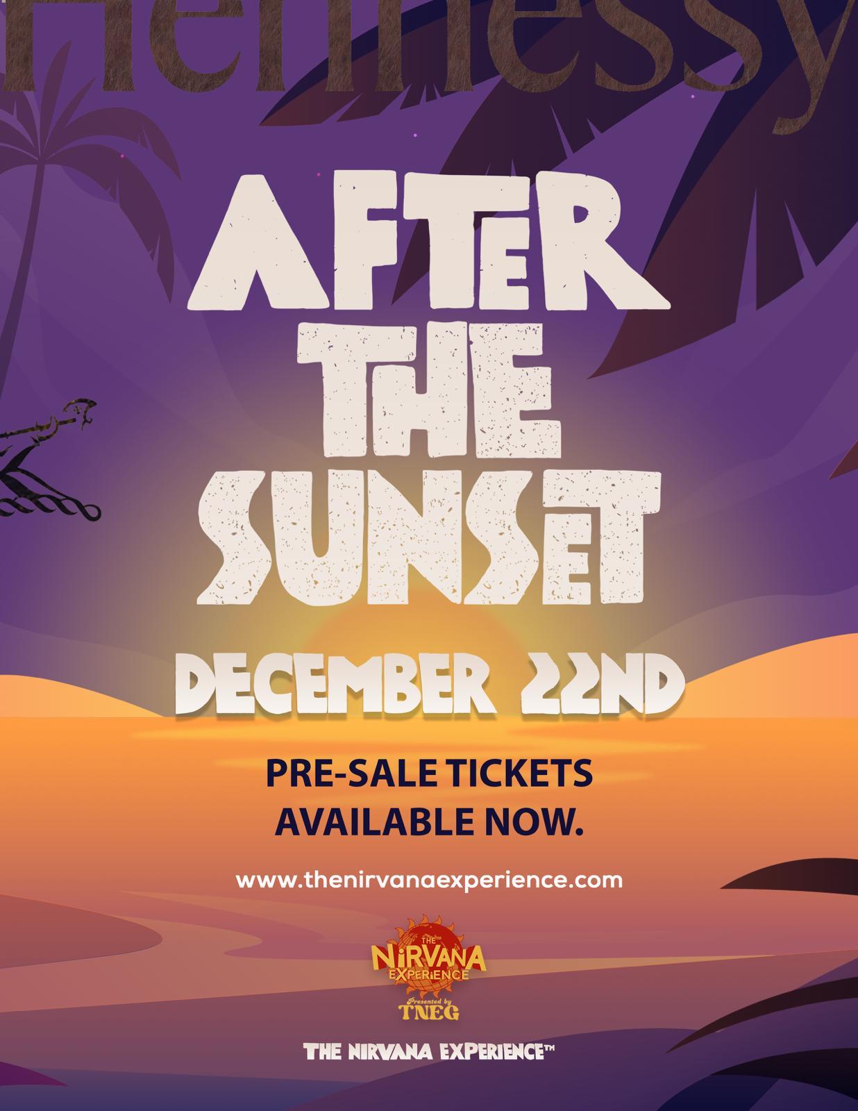 The Nirvana Experience